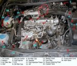enginebay 1.jpg